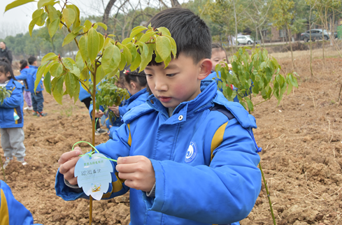 “植树栽种梦想”——天元区白鹤学校“成长吧少年”栏目小记者在行动