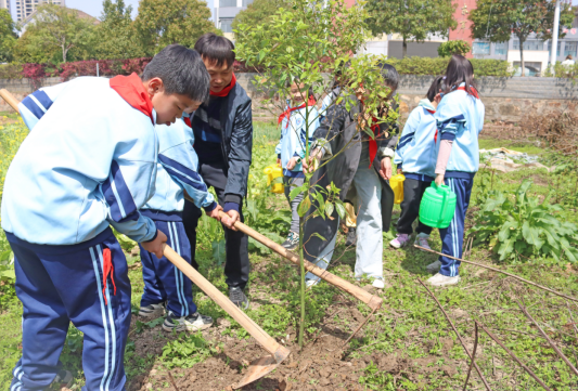醴陵市东岸小学“义务植树、绿化家园”植树活动